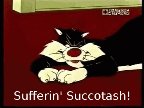 sylvester sufferin succotash|sylvester saying sufferin succotash.